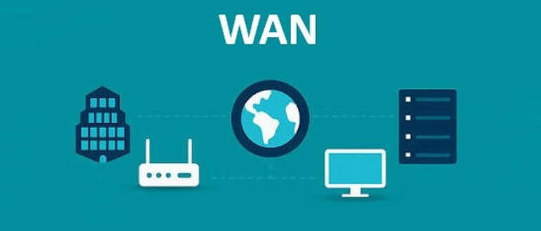 wan что это